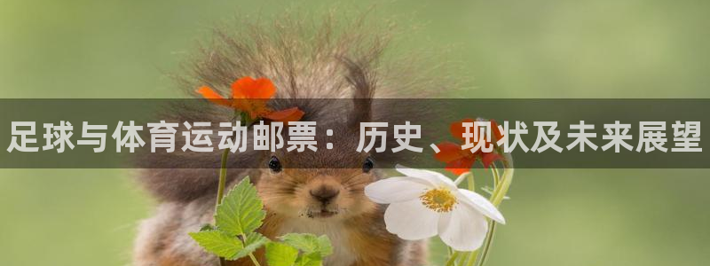 欧亿体育官方正版app娱乐首页网站大全:足球与体育运动邮票: